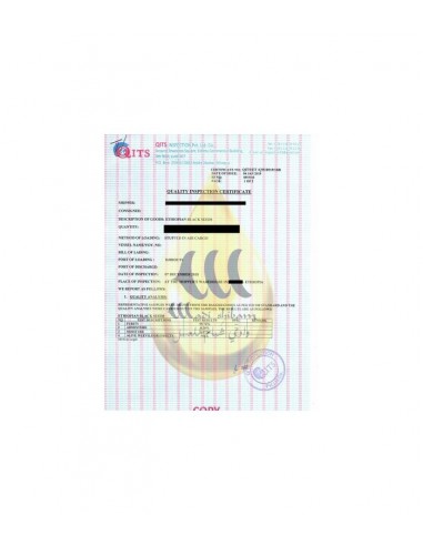 huile de nigelle habachia -wadi Shibam