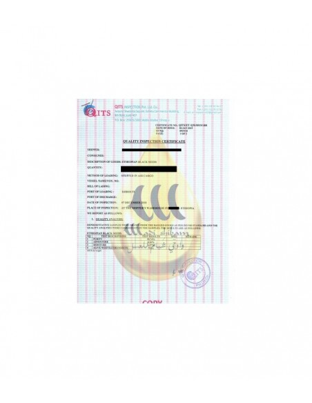 huile de nigelle habachia -wadi Shibam